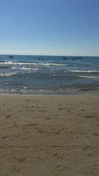 C1B410AD-5598-4CAF-BB7D-36DD43BC28B3.jpeg