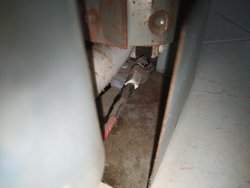 IMG_20200727_180603.jpg
