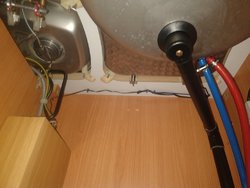 IMG_20200730_172910705.jpg