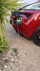 20200727_205515.jpg