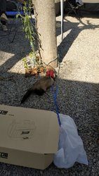 IMG_20181012_145910.jpg