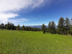 20200805_114934.jpg