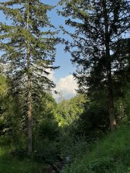 20200811_161358.jpg