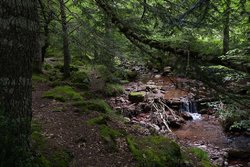 DSC02490m2.jpg