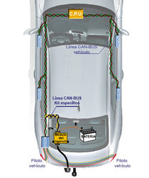 kid especifico can-bus132.jpg