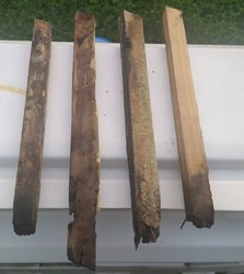 IMG_20200924_195513.jpg