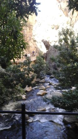 20200829_114934.jpg