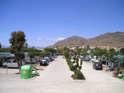 P1010006.jpg