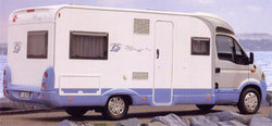 delfin-foto.jpg