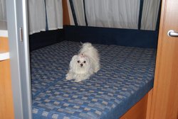 FEBRERO 2010 189.jpg