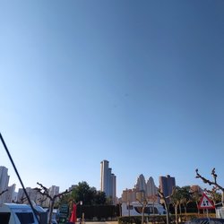 IMG_20201101_101054_639.jpg