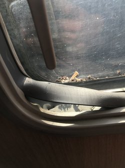 80E696E5-54E2-4558-A075-8571CB0340E0.jpeg