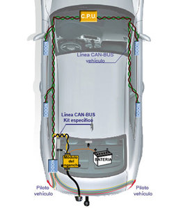 kid especifico can-bus132.jpg