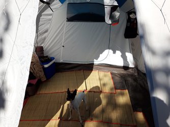 CAMPING LAS LOMAS (1).jpeg