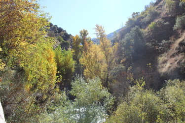 rio genil (1).jpg