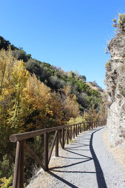 rio genil (4).jpg