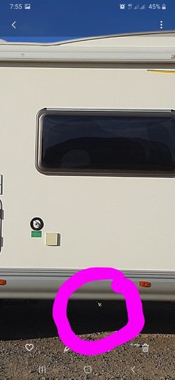 20210402_075535.jpg