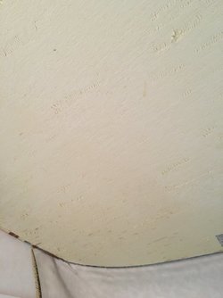 05AE7D29-F926-402F-A54B-0ED42D13DD5B.jpeg