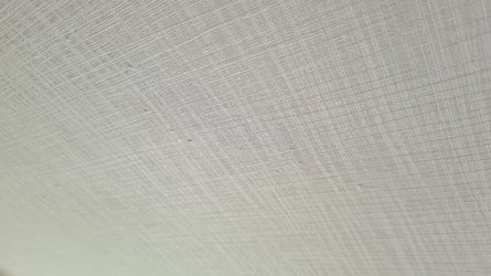 20210530_094512.jpg