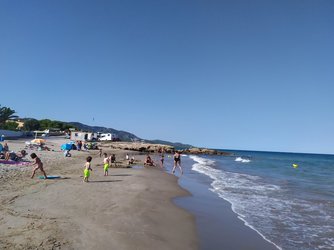 IMG_20200807_175601.jpg