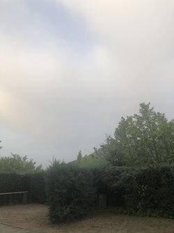 7CA49993-AF3D-427E-BBAE-5DEEDBA367A4.jpeg