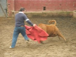 webcampada taurina 2010 076.jpg