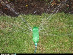 08.jpg