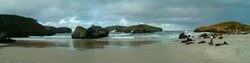DSC04186.jpg
