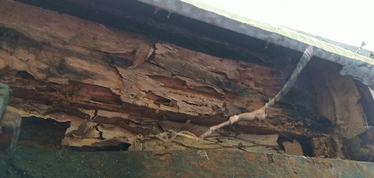 PANO_20190921_120340.jpg