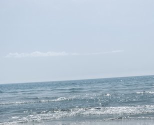 1309FD67-DAAF-4CBC-AE90-8824F729BAD0.jpeg
