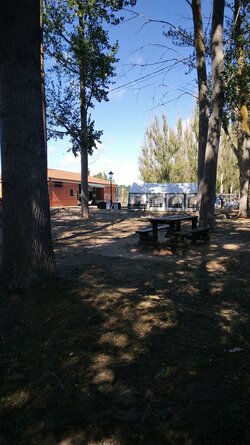 IMG-20220818-WA0010.jpeg