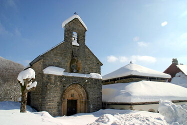 IMG_4946.JPG