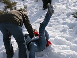 IMG_5125.jpg