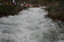 Imagen 243.jpg