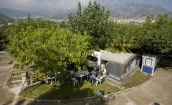 berga_resort_camping_parcela_635.jpg