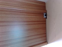 06052010621.jpg