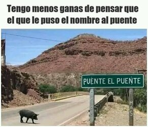 FB_IMG_16828697058825156.jpg