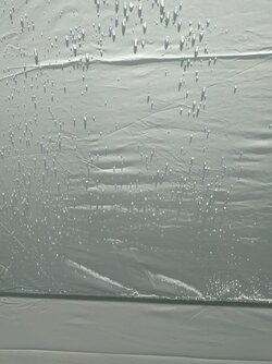 IMG-20240712-WA0014.jpg