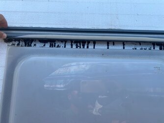 IMG_9118.jpeg
