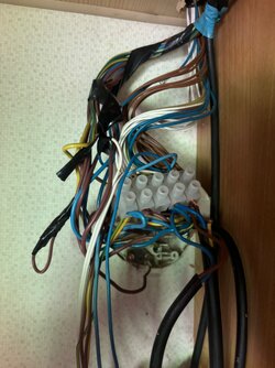 IMG_9776.jpeg