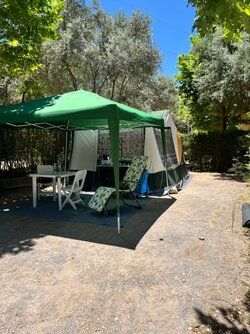 IMG_6109.jpeg