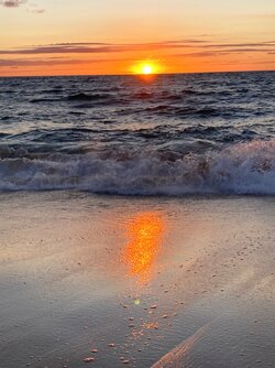 IMG_5350.jpeg
