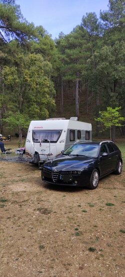 IMG_20241005_171953.jpg