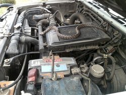 27052010282.jpg