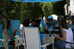 IMG_1484_800x533.jpg