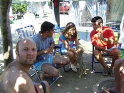 P3100050_800x600.jpg