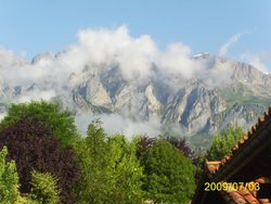 PIC_0877.jpg