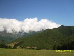 PIC_0890.jpg