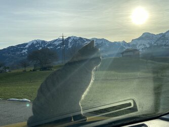 IMG_4744.jpeg