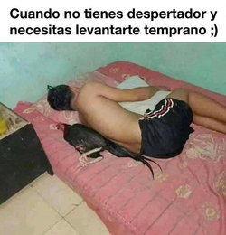 1742817949545.png